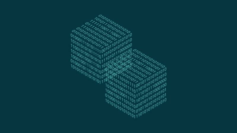 红河信创改造:网络应用开发流程标准化的核心路径与实践